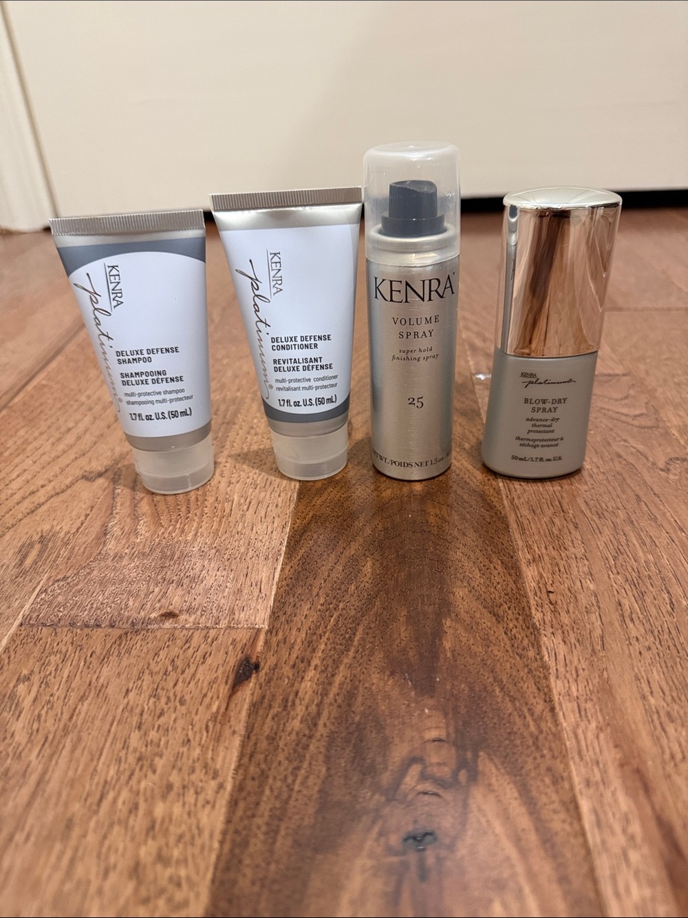 Kenra Deluxe Defense Travel Hair Set - Silver